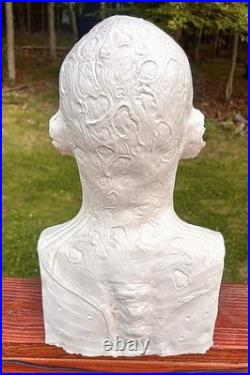 Freddy Krueger 11 Resin Bust Nightmare on Elm Street 2
