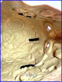 RARE A Nightmare On Elm Street FREDDY KRUEGER Tear Away Skull Adult Latex Mask